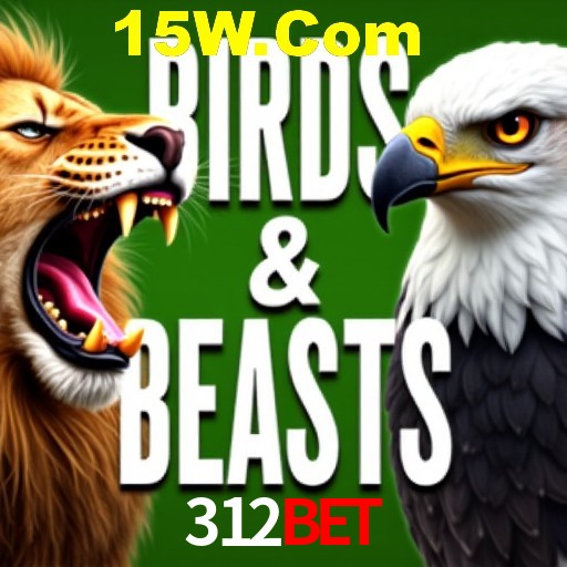 Bônus Diários 312Bet